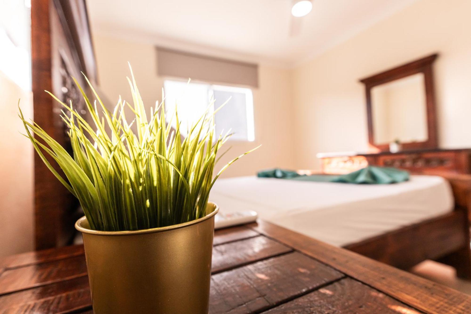 Hostal Las Rosas De Punta Cana Zewnętrze zdjęcie